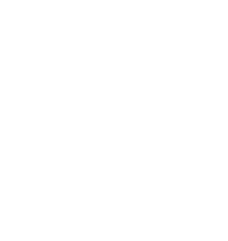 Zen Chic